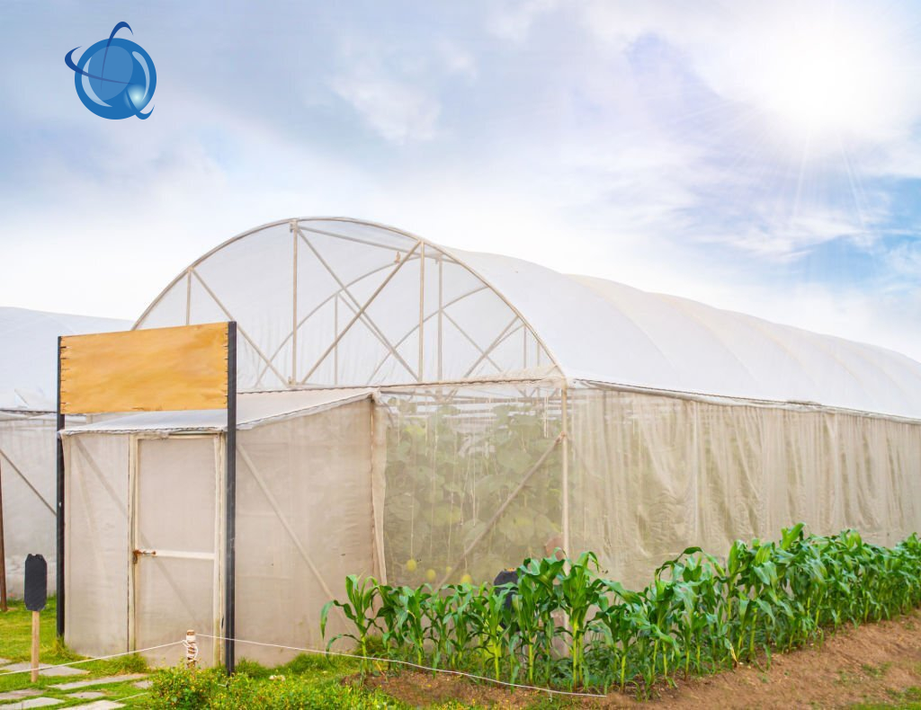 Теплые и холодные тентовые конструкции